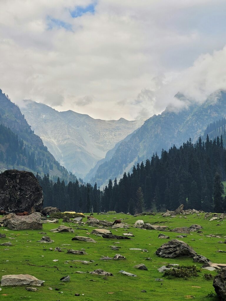 cab service in srinagar